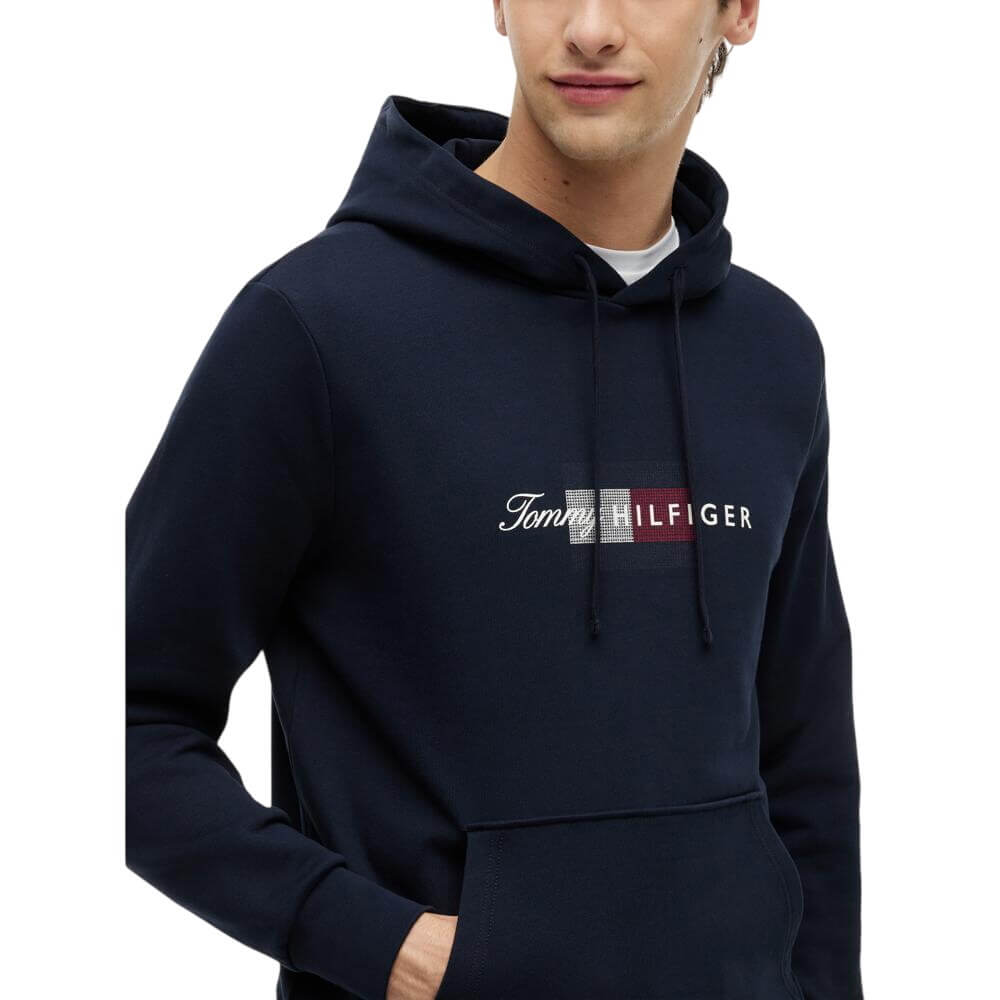 Tommy Hilfiger Script Flag Hoodie